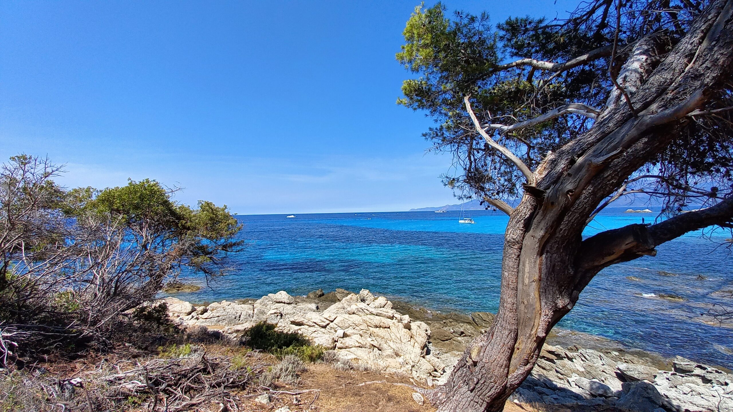Corse 1